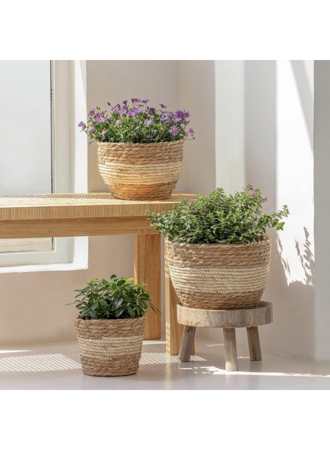 بيت إيزي سلة نباتات، 3 قطع من سلال النباتات الداخلية مع بطانة بلاستيكية، سلة زهور منسوجة من نبات الياسنت المائي وساق الذرة، سلة زراعة للمنزل الريفي، ديكور أصيص أرضي - Image 1